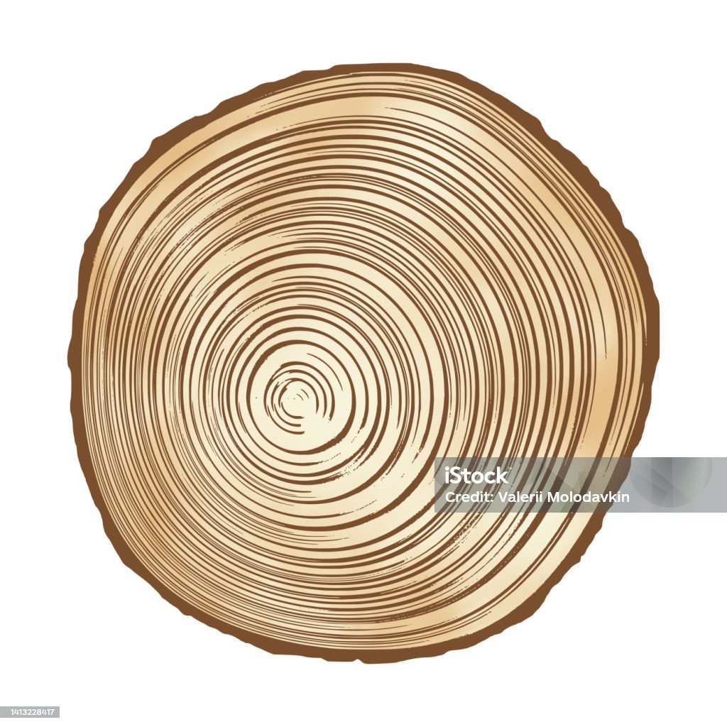 Tee Log Rings Log Cut Tree Rings Pattern Stock Illustration - Download Image Now ...