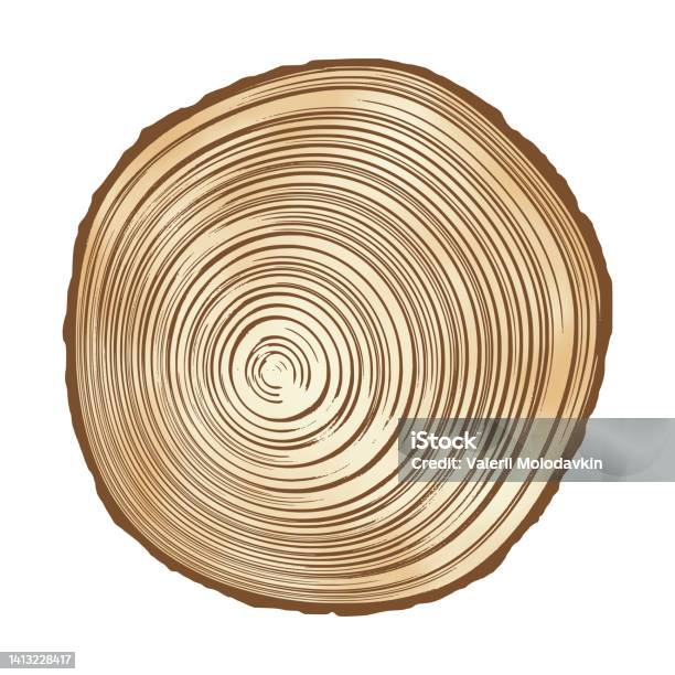 Tree Rings Cut Art Log Cut Tree Rings Pattern Stock Illustration - Download Image Now ...