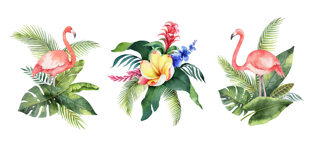 Watercolor vector set with tropical leaves, flowers and pink flamingo isolated on white background.