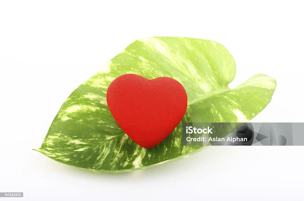 Сердце на лист - Стоковые фото Без людей роялти-фри