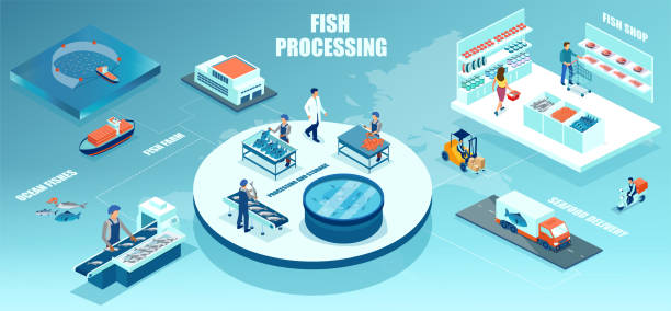 보트 낚시에서 식료품 점으로의 해산물 배달에 이르기까지 유통되는 해산물 가공 체인의 벡터 - ocean conveyor stock illustrations