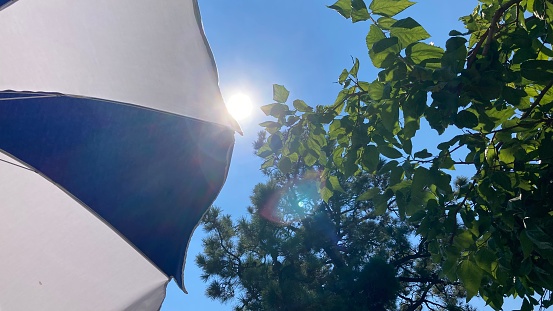 Blue and White Beach Umbrella amongst some trees on the Island of Lefkada Greece