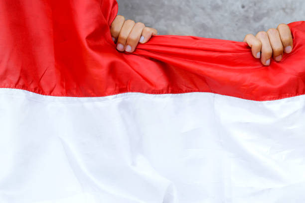 istock Republic of Indonesia Independence Day 1413239938