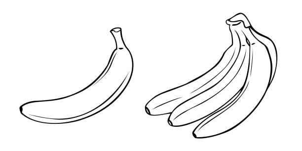 ilustrações, clipart, desenhos animados e ícones de um conjunto de fotos monocromáticas, um monte de bananas maduras, banana odon, vetor - banana peeled banana peel white background