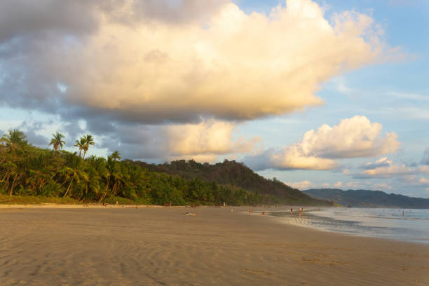 istock Coastline of an exotic tropical island 1413249326