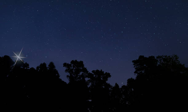 istock Christmas star above the forest 1413249696