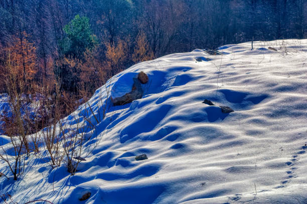 istock View over landscape covered with snow during sunny winter day. 1413259851