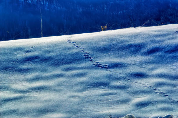 View over landscape covered with snow during sunny winter day in mountains of Bosnia and Herzegovina.