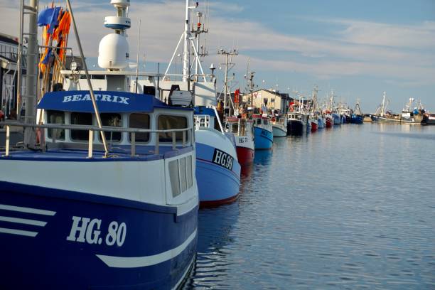 порт хиртсхальс (�датский: hirtshals havn) расположен между заливом джаммер и заливом таннис. это один из крупнейших рыбных портов в дании. - moored nautical vessel tied knot sailboat стоковые фото и изображения