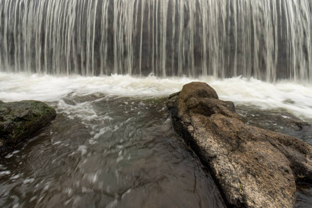 Foaming river water flows down large black rocks in the middle of a tropical forest
