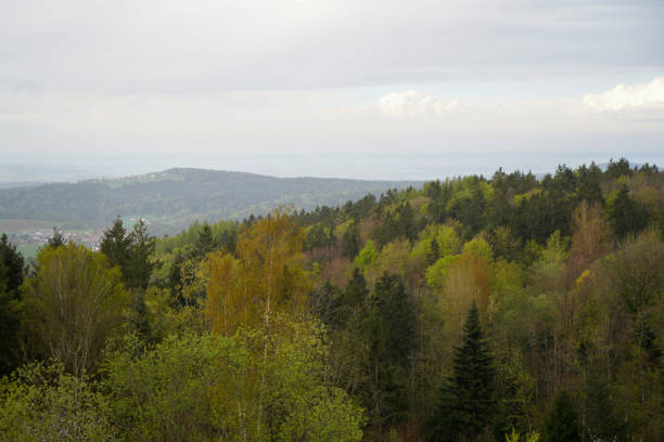 istock Bavarian Forest with fascinating clouds and blue sky 1413263751