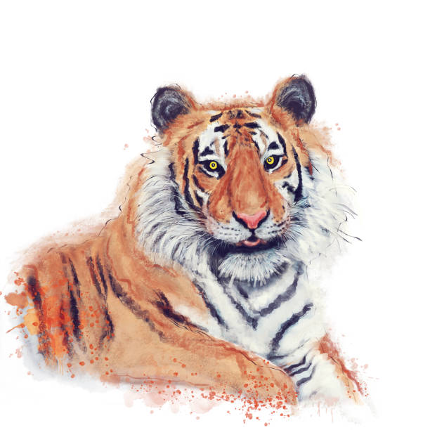 istock Digital Watercolor Painting Of Tiger 1413263757