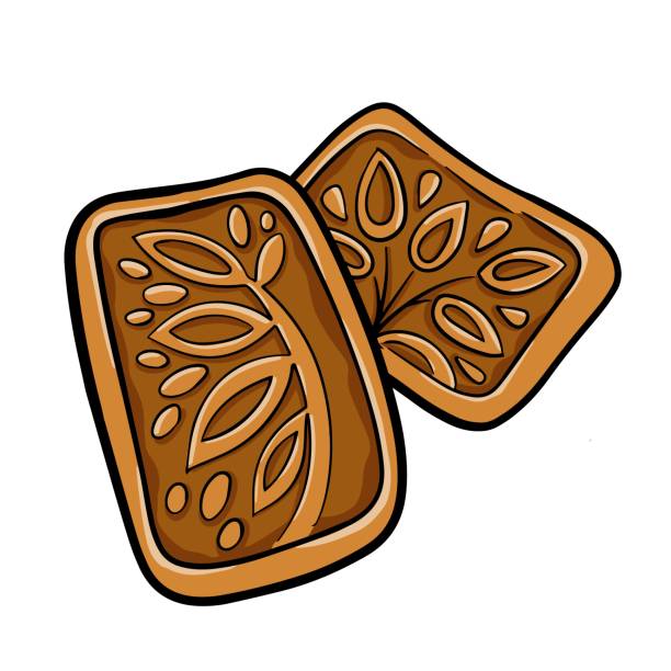 традиционное голландское печенье speculaas на белом фоне - white background full studio shot close up stock illustrations