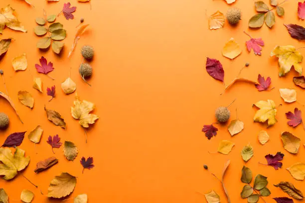 Photo of Autumn composition. Pattern made of dried leaves and other design accessories on table. Flat lay, top view