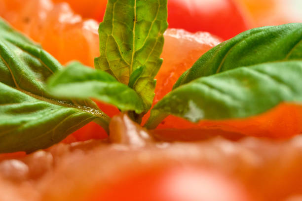Bruschetta with pickled trout and salmon basil and tomatoes