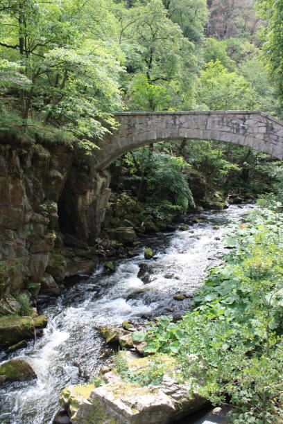 istock Hiking through the Bode Valley (Bodetal) in the Harz Mountains | River Bode 1413271027