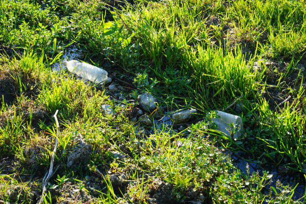istock Environmental pollution, plastic bottles in the grass. Garbage concept. 1413273627