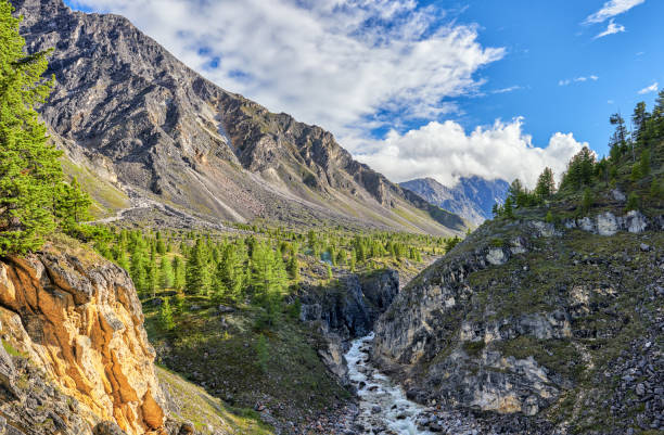 stretto canyon fluviale nelle montagne siberiane - larch tree stone landscape sky foto e immagini stock