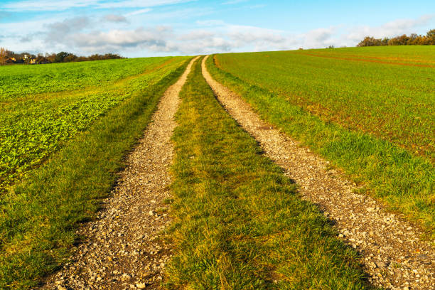 Country road through the field \nYoung woman with a bicycle blurred in the background