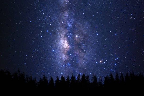 istock Beautiful milkyway and silhouette of pine tree on a night sky before sunrise. 1413278043