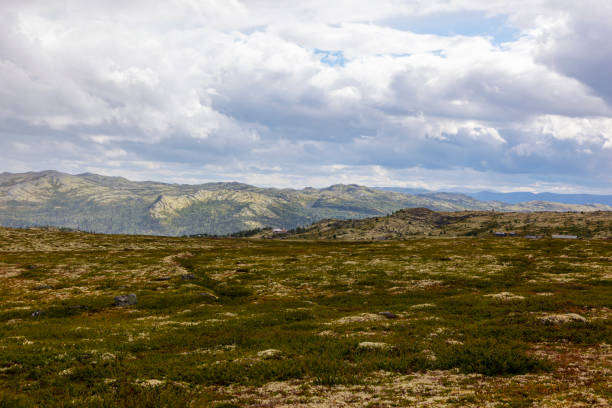 istock Kampeseter Rondane National Park 1413282417