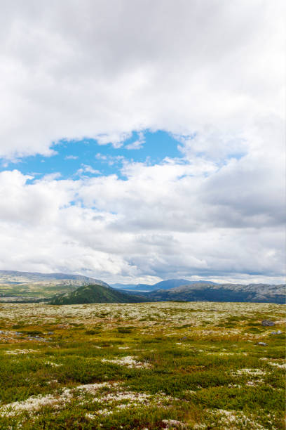 Cottage area in Rondane National Park,  and view to Rondane Mountain range