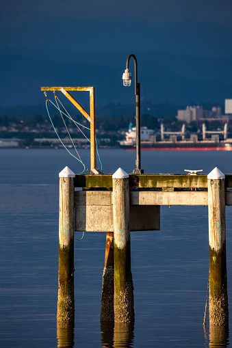 Late afternoon sun shines on Pier at Mukilteo Ferry Terminal. In background city of Everett WA.