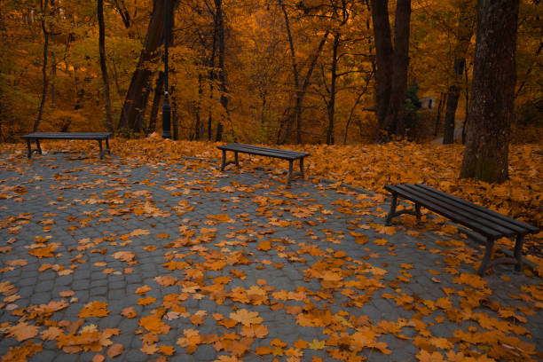 atmospheric peaceful October square space in Halloween season with benches and falling leave