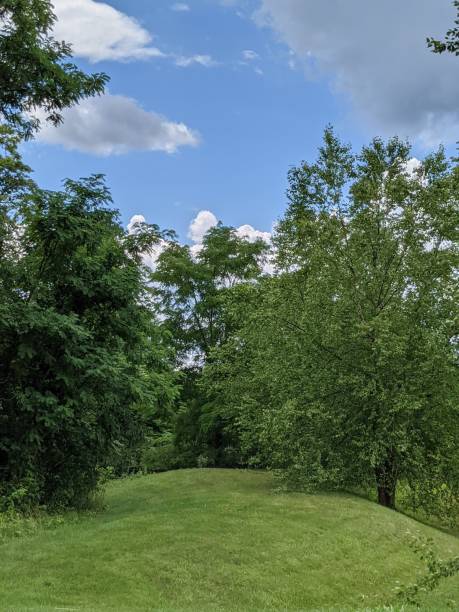 istock Landscaped Area of Public Park 1413289725