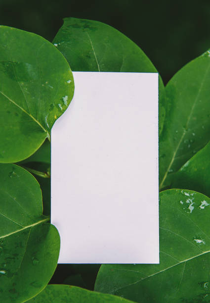 istock Mock up white empty paper card on the green leaves 1413290040