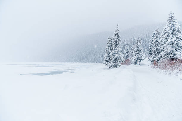 Lake Louise in Banff Park in winter time, Alberta, Canada