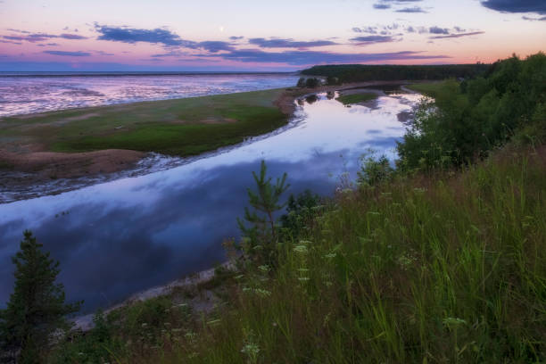 река пунерма в том месте, где она впадает в белое море в архангельской области на севере россии - архангельск стоковые фото и изображения