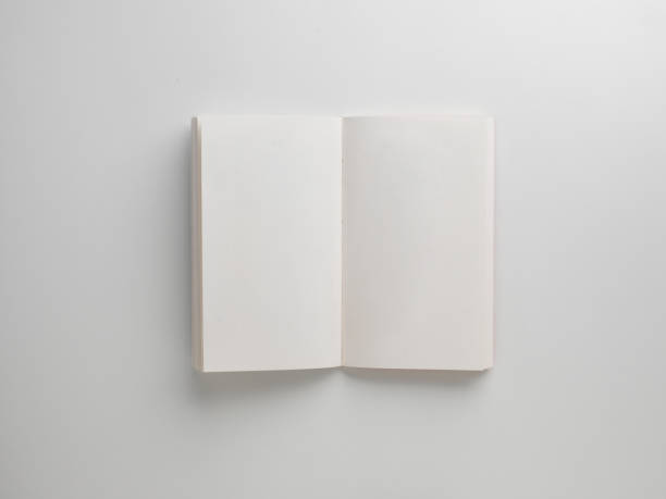istock Mock-up magazines, book or catalog on white background. 1413295974
