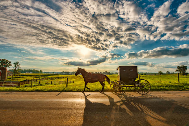 istock Amish Horse and Buggy in Early Morning 1413300945
