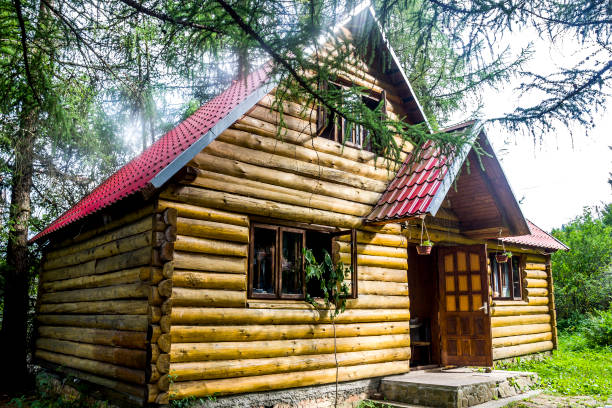 istock a small wooden house in forest 1413308406