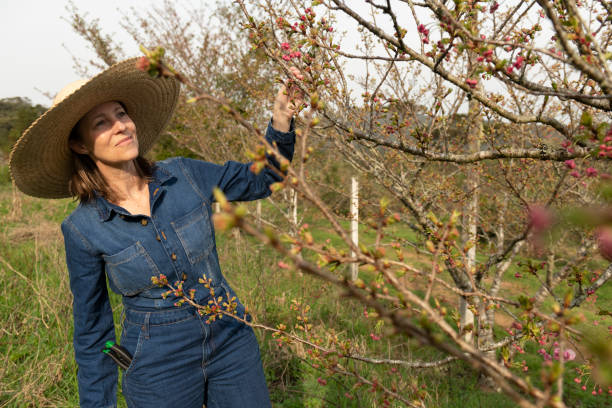 istock Organic farming business 1413311985