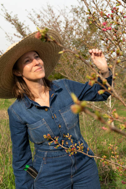 istock Organic farming business 1413312008