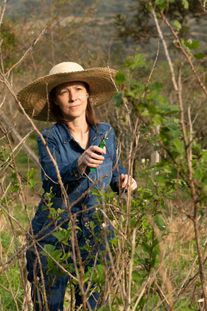 istock Organic farming business 1413312012