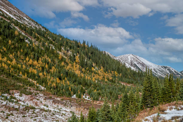 istock Summer hills in Peter Lougheed Provincial Park, Alberta, Canada 1413312293