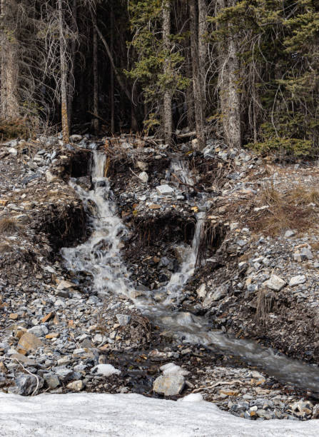 istock Roadside run off. Spray Valley Provincial Park. Alberta, Canada 1413313013