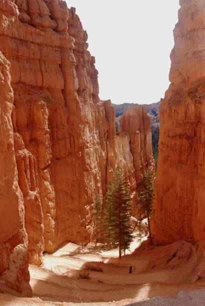 istock Bryce Canyon National Park 1413317125
