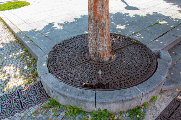 istock Metal drainage grate on the sidewalk around a tree in Slovakia. 1413319069