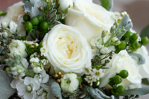 Wedding bouquet of white garden roses, white filler flowers, coffee bean, and dusty miller.