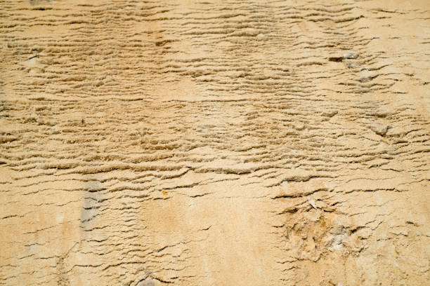sand construction quarry. texture of sand for construction close-up