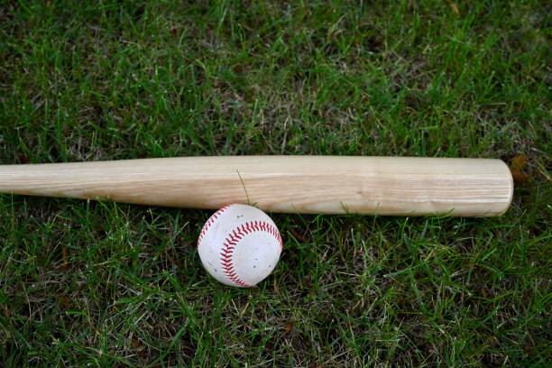istock Baseball Bat and Ball 1413324570