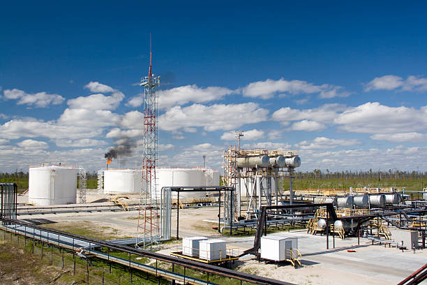 A refinery plant in the daytime Oil and gas industry. Work of refinery petrochemical plant. Oil reservoir and storage tank of mineral oil. Flame torch natural gas extraction stock pictures, royalty-free photos & images