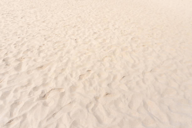 istock Closeup sand texture background Sand beautiful in nature Sand smooth texture in nature 1413328413