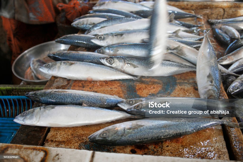Freshly caught fish at pasar baru market in jambi, indonesia Animal Body Part Stock Photo