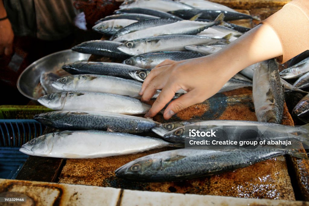 Freshly caught fish at pasar baru market in jambi, indonesia Animal Body Part Stock Photo