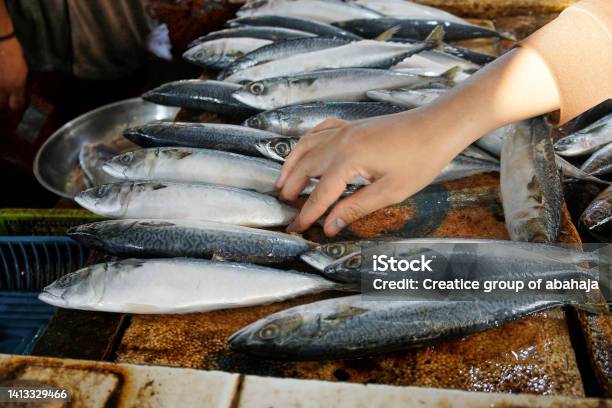 Freshly Caught Fish At Pasar Baru Market In Jambi Indonesia Stock Photo - Download Image Now